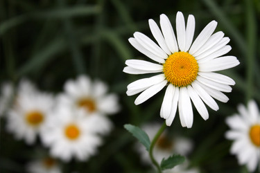 Similar image 741815