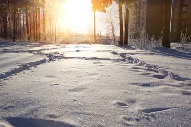 Similar image 741863