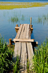 Similar image 741922