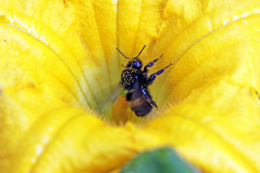 Similar image 741928