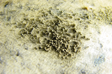 Similar image 741937