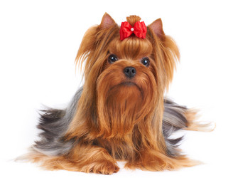 Similar image 741951