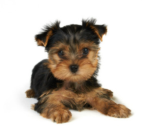 Similar image 741952