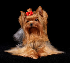 Similar image 741971