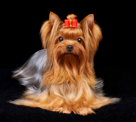 Similar image 741974