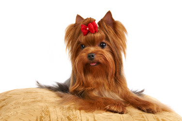 Similar image 741975