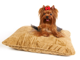 Similar image 741976