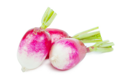 Similar image 741983