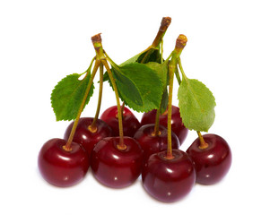 Similar image 741986