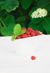 Similar image 741989