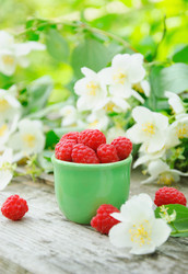 Similar image 741990