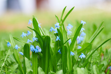 Similar image 741997