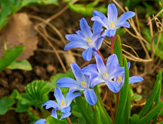 Similar image 741998