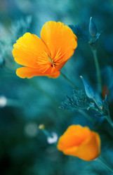 Similar image 742001