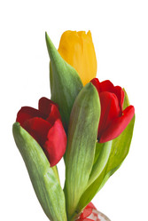 Similar image 742010