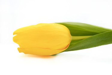 Similar image 742012