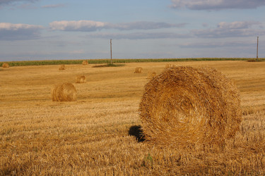 Similar image 742015