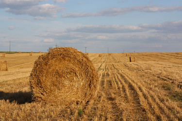 Similar image 742017