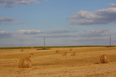 Similar image 742018