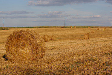 Similar image 742021