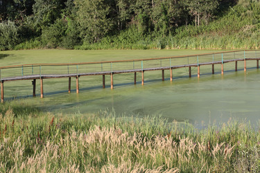 Similar image 742027