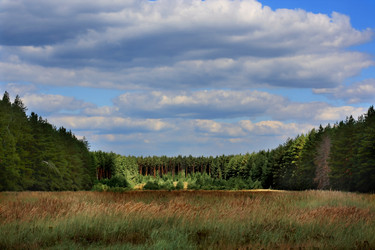 Similar image 742034