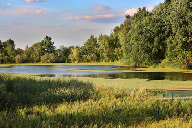 Similar image 742035