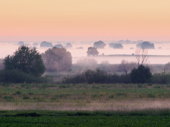 Similar image 742080