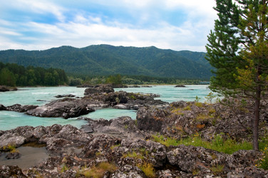 Similar image 742082