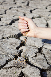 Similar image 742243