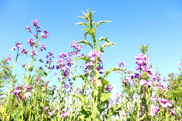 Similar image 742332