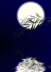 Similar image 742343