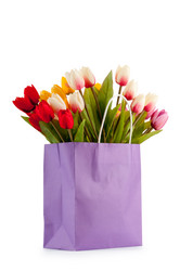 Similar image 742385