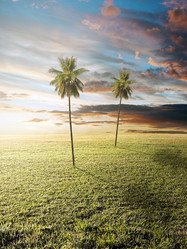 Similar image 742407