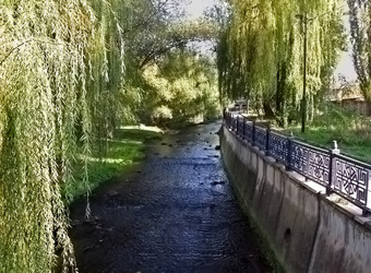 Similar image 742423