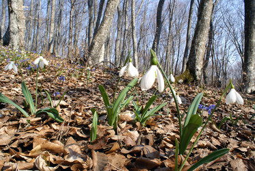 Similar image 742429