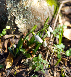 Similar image 742430