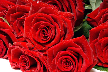 Similar image 742447