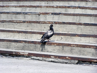 Similar image 742477