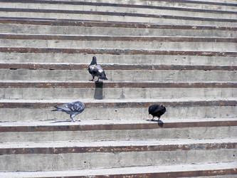 Similar image 742478