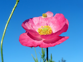 Similar image 742479