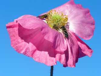 Similar image 742481