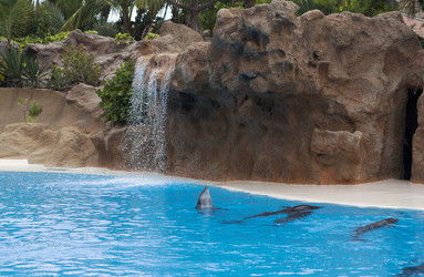 Similar image 742488