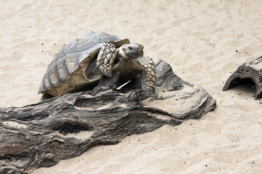 Similar image 742574