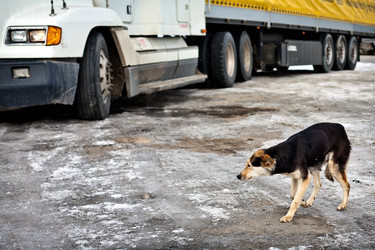 Similar image 742605