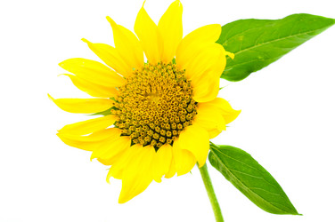 Similar image 742610