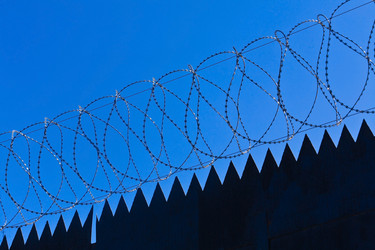 Similar image 742683