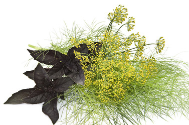 Similar image 742852