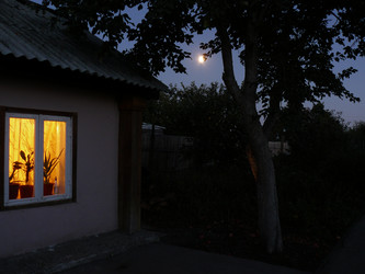 Similar image 742859