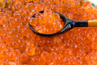 Similar image 742885